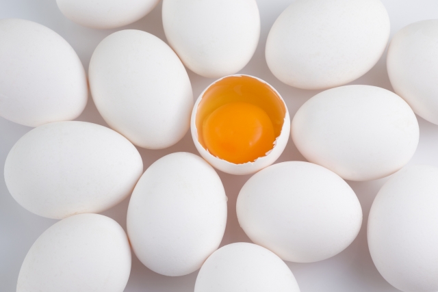 たんぱく質が豊富な卵