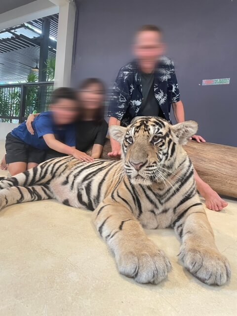 タイガーパークパタヤ　虎と一緒に家族写真