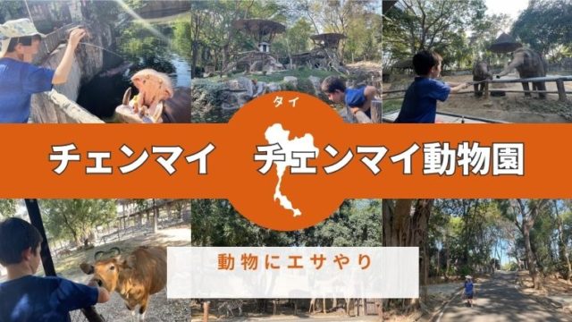 子連れ旅行におすすめ　チェンマイ動物園